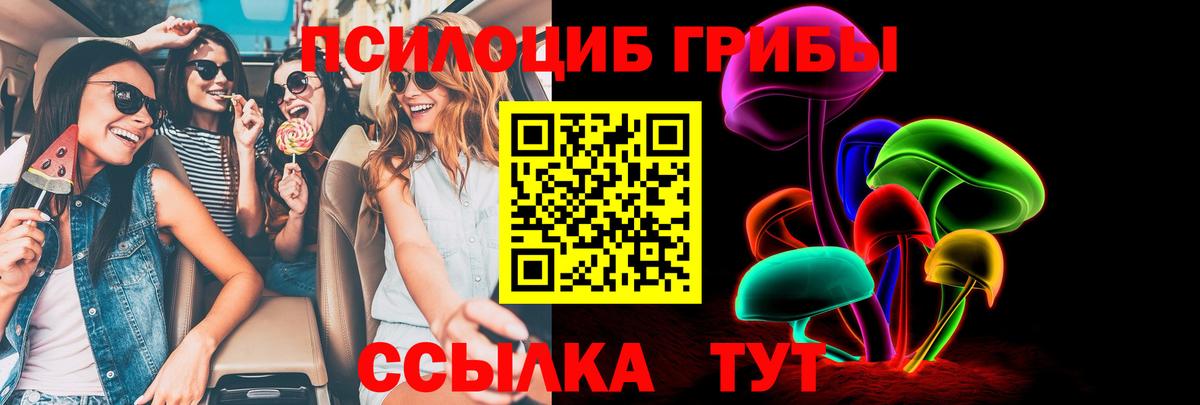 наркота  Галлюциногенные грибы мицелий  Вход с VPN  Выкса  Галлюциногенные грибы Cubensis 